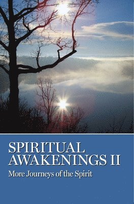 AA Grapevine - Spiritual Awakenings II, Häftad
