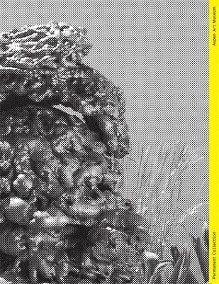 Permanent Collection - Issue V, Häftad