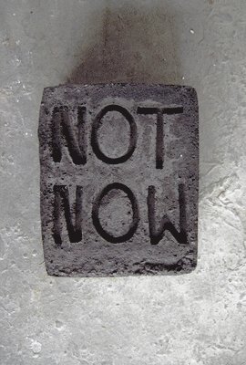 Esther Kläs: Not Now, Häftad