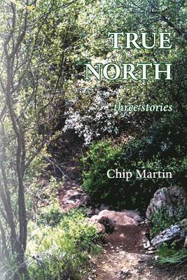 Chip Martin - True North, Häftad