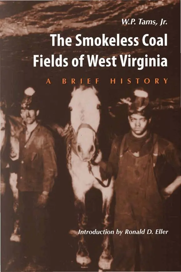 W.P. Tams Jr - Smokeless Coal Fields of West Virginia, Häftad. Tillgänglighet: Lägg i varukorg