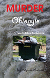 Marci Lynn McGuinness - Murder in Ohiopyle: And Other Incidents, Häftad