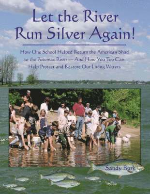 Sandy Burk - Let the River Run Silver Again!, Häftad