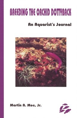 Martin A. Moe - Breeding the Orchid Dottyback, Pseudochromis Fridmani, Häftad