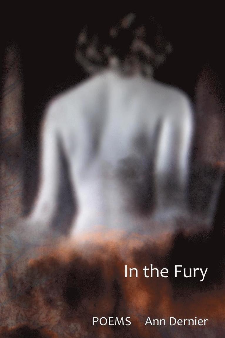 Ann Dernier - In the Fury, Häftad