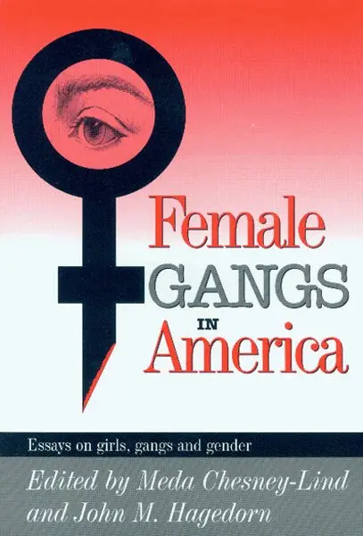John M. M. Hagedorn, Meda Chesney-Lind - Female Gangs in America, Häftad. Tillgänglighet: Tillfälligt slut