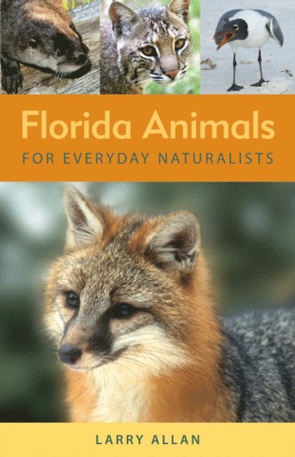 Larry Allan - Florida Animals for Everyday Naturalists, E-bok