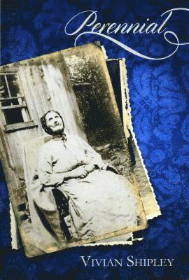 Vivian Shipley - Perennial, Häftad