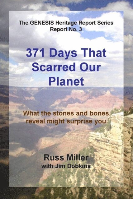 Russ Miller - 371 Days That Scarred Our Planet, E-bok