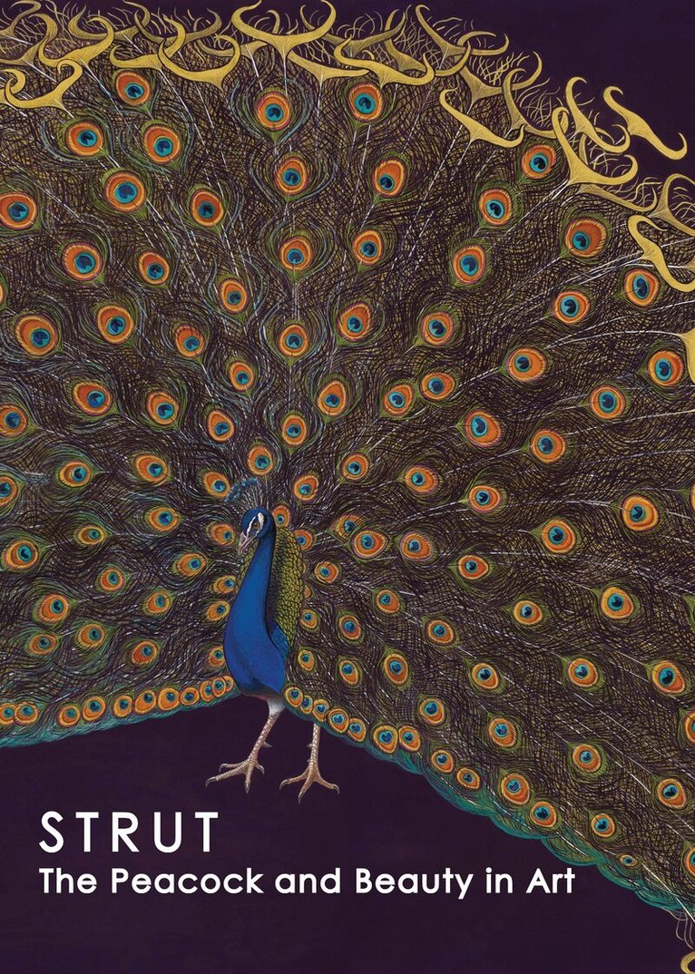 Hudson River Museum, Bartholomew F. Bland, Laura L. Vookles - Strut, Häftad