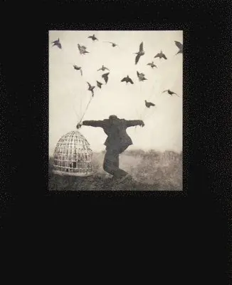 Robert and Shana ParkeHarrison: The Architect's Brother, Inbunden. Tillgänglighet: Tillfälligt slut