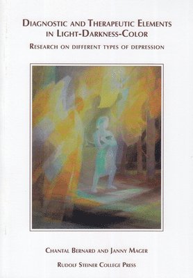 Chantel Bernard, Janny Mager - Diagnostic and Therapeutic Elements in Light-Darkness-Color: Research on Different Types of Depression, Häftad