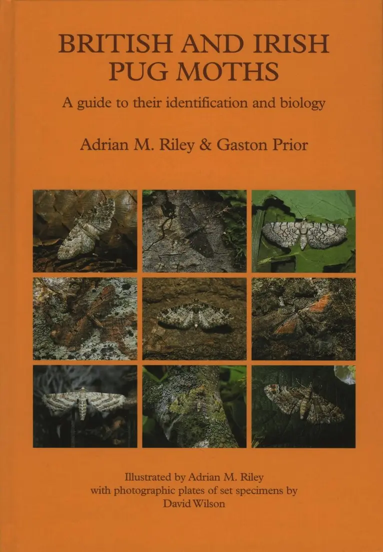 British and Irish Pug Moths – a Guide to their Identification and Biology