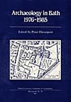 Peter Davenport - Archaeology in Bath 1976-1985, Häftad