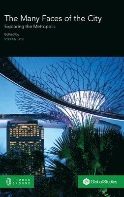 Stefan Litz - Many Faces of the City, Inbunden
