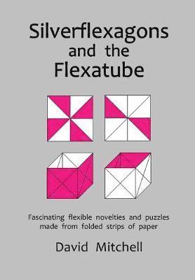 Silverflexagons and the Flexatube