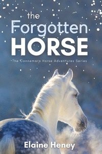 Forgotten Horse