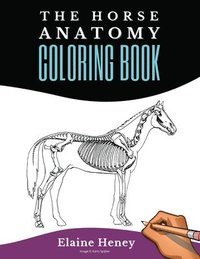 Horse Anatomy Coloring Book For Adults