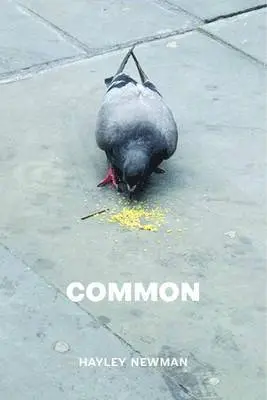 Hayley Newman - Common, Häftad. Tillgänglighet: Tillfälligt slut