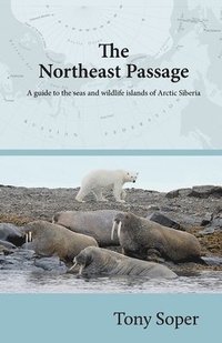 The Northeast Passage