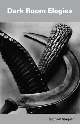 Michael Shepler - Dark Room Elegies, Häftad. Tillgänglighet: Lägg i varukorg
