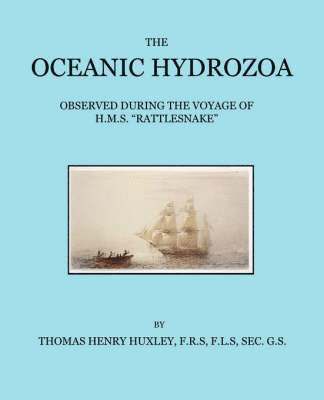 Oceanic Hydrozoa