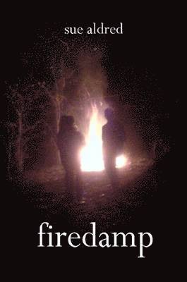 SUE ALDRED - Firedamp, Häftad