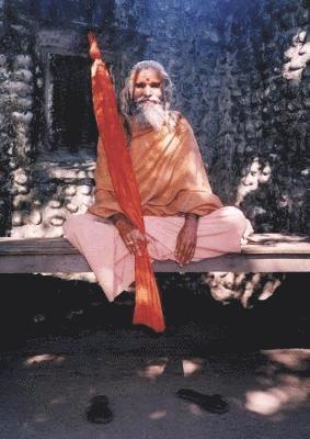 Paul Mason - Dandi Swami, Häftad