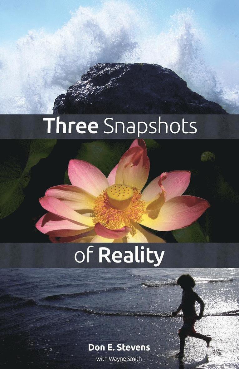 Don E Stevens - Three Snapshots of Reality, Häftad