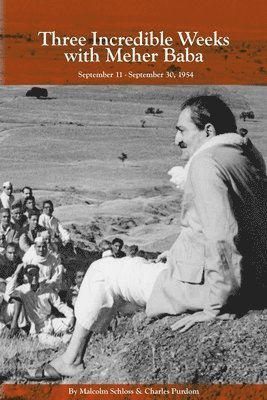 Three Incredible Weeks with Meher Baba, Häftad