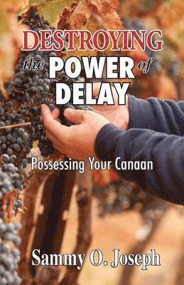 Sammy O Joseph - Destroying the Power of Delay, Häftad