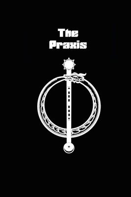 Dirk Bruere - Praxis, Häftad