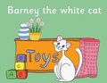Barney the white cat