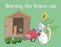 Barney the brave cat