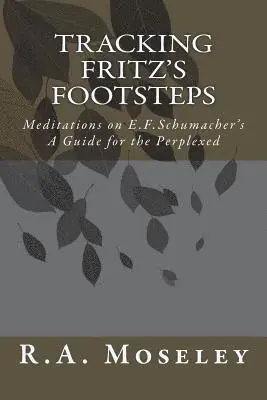 R. a. Moseley - Tracking Fritz's Footsteps: Meditations on E.F. Schumacher's A Guide for the Perplexed, Häftad. Tillgänglighet: Lägg i varukorg