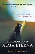 Explorando el Alma Eterna - Perspectivas de la Vida Entre Vidas