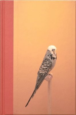 Luke Stephenson - Incomplete Dictionary of Show Birds, Inbunden