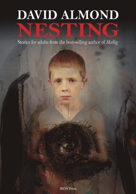 David Almond - Nesting, E-bok