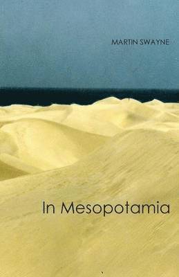 Martin Swayne - In Mesopotamia, Häftad