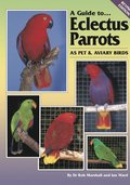 A Guide to Eclectus Parrots as Pet and Aviary Birds