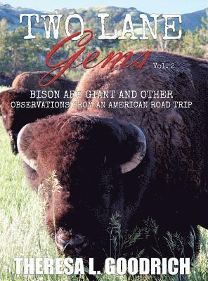 Theresa L Goodrich - Two Lane Gems, Vol. 2, Inbunden. Tillgänglighet: Lägg i varukorg