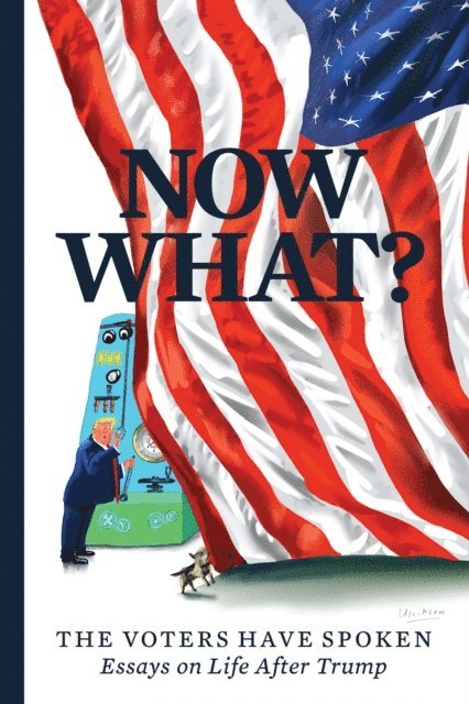 Hruska, Stephen Mack Jones, Marcos Breton, Joan Walsh, Jacob Heilbrunn, Keith Olbermann, Angela Wright Shannon, Mark Ulriksen, Christopher Buckley, Mary C. Curtis - Now What?, E-bok