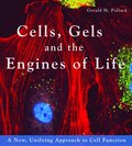 Cells, Gels and the Engines of Life