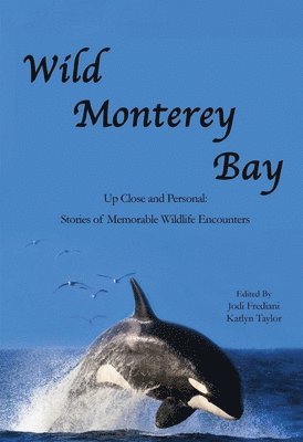 Wild Monterey