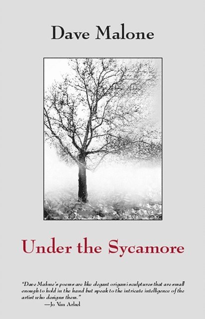 Dave Malone - Under the Sycamore, E-bok