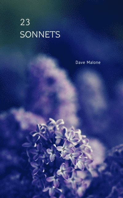 Dave Malone - 23 Sonnets, E-bok