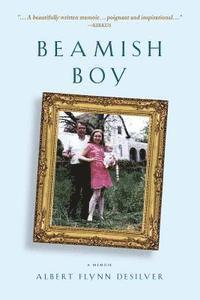 Albert Flynn Desilver - Beamish Boy: A Memoir of Recovery and Awakening, Häftad