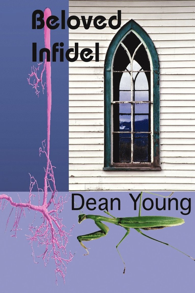 Dean Young - Beloved Infidel, Häftad