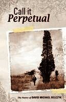 David Michael Belczyk - Call It Perpetual, Häftad
