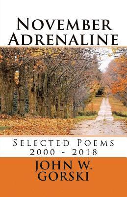 John W. Gorski - November Adrenaline 2, Häftad